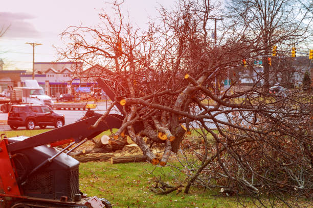 Best Aeration Services  in Prces Lakes, IN